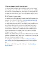 Cách học tiếng anh dành cho người mới bắt đầu hoặc mất gốc