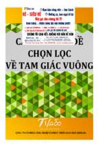 Các chuyên đề chọn lọc về tam giác vuông