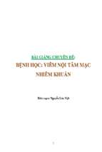 Viêm nội tâm mạc nhiễm khuẩn của tác giả nguyễn lân việt