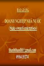 Bài giảng doanh nghiệp nhà nước