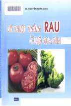 Kỹ thuật trồng rau ở hộ gia đình