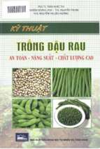 Kỹ thuật trồng đậu rau an toàn, năng suất  chất lượng cao