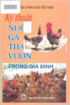 Kỹ thuật nuôi gà thả vườn trong gia đình