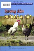 Hướng dẫn nuôi gà ai cập