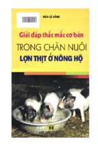 Giải đáp thắc mắc cơ bản trong chăn nuôi lợn thịt ở nông hộ