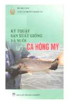 Kỹ thuật sản xuất giống và nuôi cá hồng mỹ