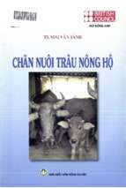 Chăn nuôi trâu nông hộ