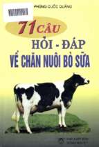 Bảy một câu hỏi   đáp về chăn nuôi bò sữa