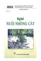 Nghề nuôi nhông cát