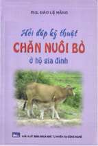 Hỏi đáp kỹ thuật chăn nuôi bò ở hộ gia đình