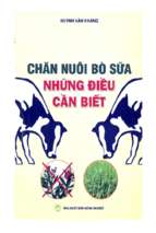 Chăn nuôi bò sữa những điều cần biết