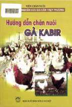 Hướng dẫn chăn nuôi gà kabir