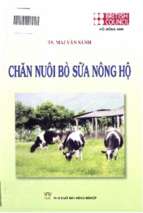 Chăn nuôi bò sữa nông hộ