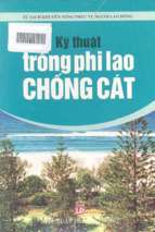 Kỹ thuật trồng phi lao chống cát
