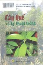 Cây quế và kỹ thuật trồng