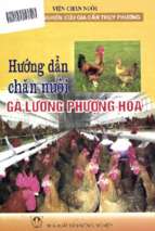 Hướng dẫn chăn nuôi gà lương phượng hoa