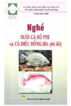 Nghề nuôi cá rô phi và cá điêu hồng (rô phi đỏ)