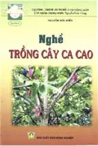 Nghề trồng cây ca cao