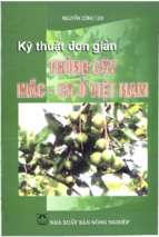 Kỹ thuật đơn giản trồng cây mắc  ca ở việt nam