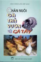 Chăn nuôi gà thả vườn và gà tây