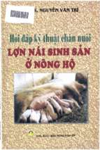 Hỏi đáp kỹ thuật chăn nuôi lợn nái sinh sản ở nông hộ