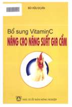 Bổ sung vitamin c nâng cao năng suất gia cầm