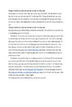 Những sở thích thú vị độc đáo mà bạn nên thử với tiếng anh