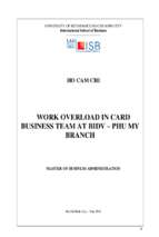 Work overload in card business team at bidv – phu my branch