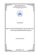 Nâng cao chất lượng đội ngũ cán bộ công chức của ủy ban nhân dân huyện cam lâm