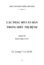 Các phác đồ căn bản trong diều trị bệnh trong y học cổ truyền