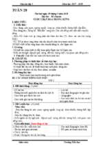 Tuần 28_giáo án lớp 3 soạn theo định hướng phát triển năng lực học sinh 