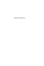 Marine_boilers