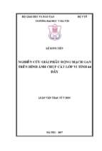 Nghiên cứu giải phẫu động mạch gan trên hình ảnh chụp cắt lớp vi tính 64 dãy