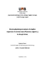 Morpho physiological analysis of adaptive responses of common bean (phaseolus vulgaris l.) to drought stress