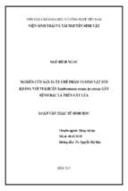 Nghiên cứu sản xuất chế phẩm vi sinh vật đối kháng với vi khuẩn xanthomonas oryzae pv. oryzae gây bệnh bạc lá trên cây lúa