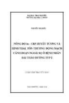 Nồng độ hs   crp huyết tương và hình thái, tổn thương động mạnh cảnh đoạn ngoài sọ ở bệnh nhân đái tháo đường typ 2