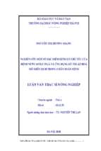 Luan van thacsi mot so bien đoi benh ly virus new