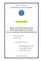 Luận án tiến sĩ pháp luật về bảo đảm an toàn trong hoạt động cấp tín dụng của các ngân hàng thương mại việt namo