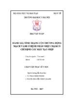 đánh gía tình trạng tổn thương động mạch vành ở bệnh nhân nhịp chậm có chỉ định cấy máy tạo nhịp