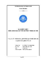 khái niệm, giới thiệu quá trình sinh sản và phát triển phôi ở bò sát