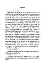 Dt_26120181749_tom tat   tieng viet chuyen pdf.final