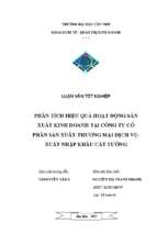 Phân tích hiệu quả hoạt động sản xuất kinh doanh tại công ty cổ phần sản xuất, thương mại, dịch vụ và xuất nhập khẩu các tường