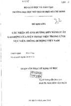 Các nhân tố ảnh hưởng đến năng suất lao động của điện thoại viên trong lĩnh vực thông đi động việt nam