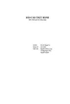 đề tài đánh giá hiệu năng mạng (bài tham khảo 8)