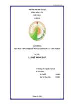 đề tài cà phê đóng lon