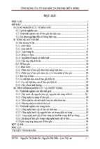 đề tài ứng dụng của tế bào gốc da trong chữa bỏng