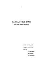 đề tài đánh giá hiệu năng mạng (bài tham khảo 10)