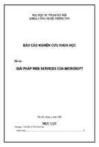 đề tài giải pháp web services của microsoft