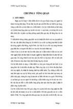 đồ án khảo sát về vi điều khiển 89c51 và thiết kế mạch đồng hồ