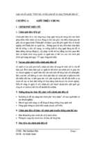 Luận văn chiến lược và giải pháp để xây dựng chính phủ điện tử  